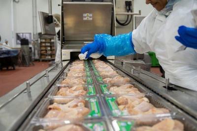 美国疾控中心:肉禽加工厂成疫情热点,感染者中近9成是少数族裔